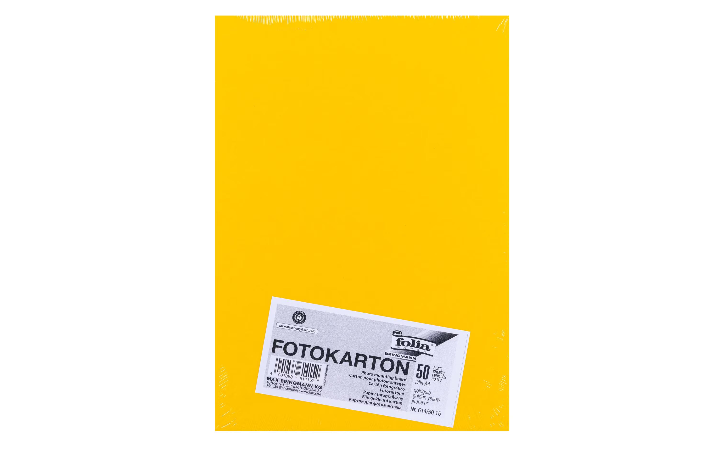 Folia, Fotokarton A4, 300 g/m², 50 Blatt, G
