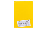 Folia, Fotokarton A4, 300 g/m², 50 Blatt, B