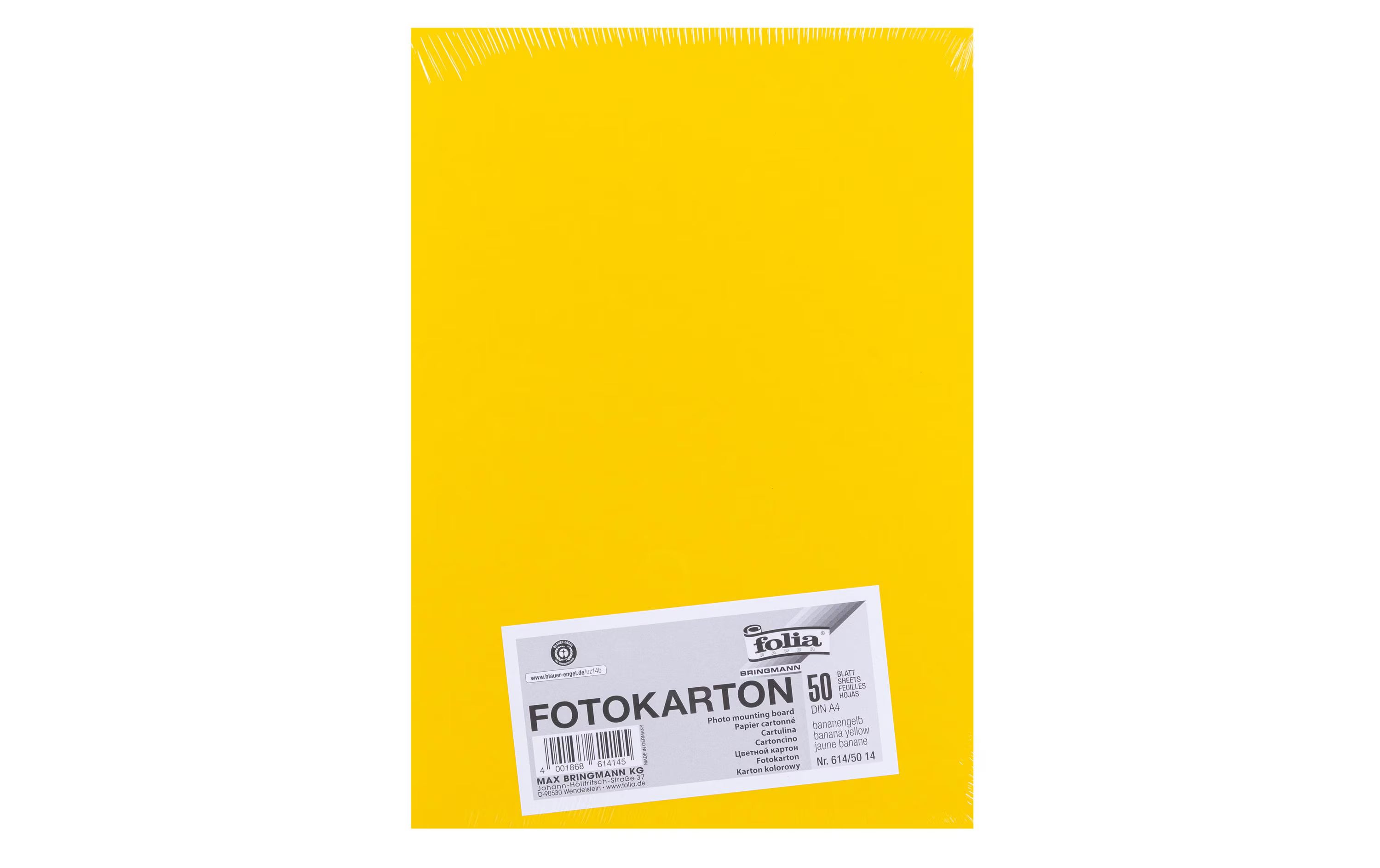 Folia, Fotokarton A4, 300 g/m², 50 Blatt, B