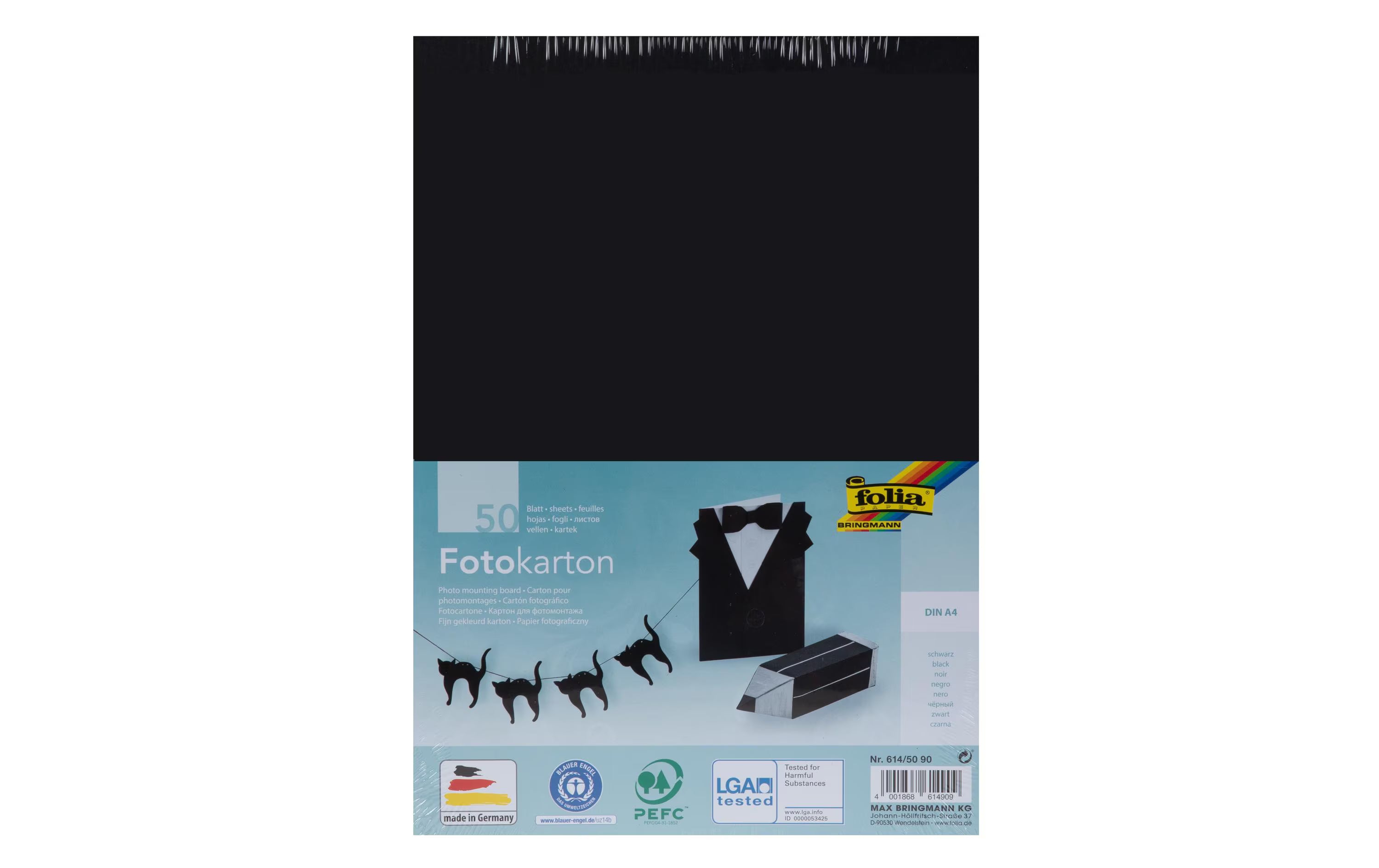 Folia, Fotokarton A4, 300 g/m², 50 Blatt, S