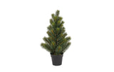 Botanic-Haus Tannenbaum im Topf