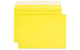 ELCO Couvert Color