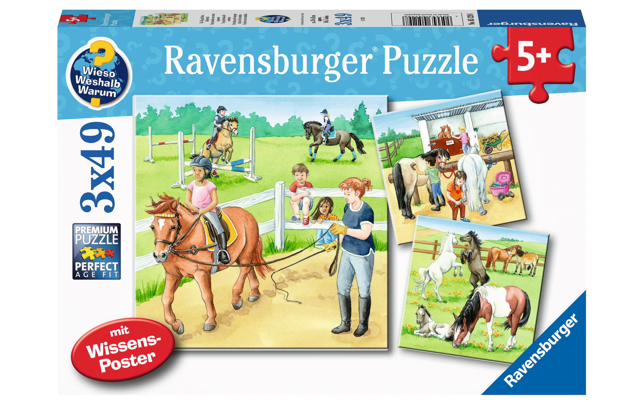 Puzzle Ein Tag auf dem Reiterhof