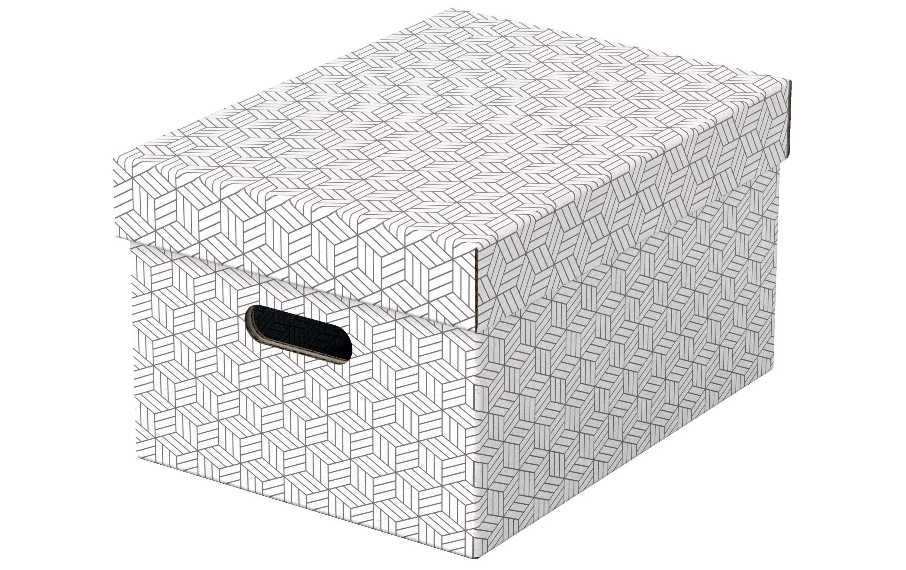 Leitz Aufbewahrungsbox Home M