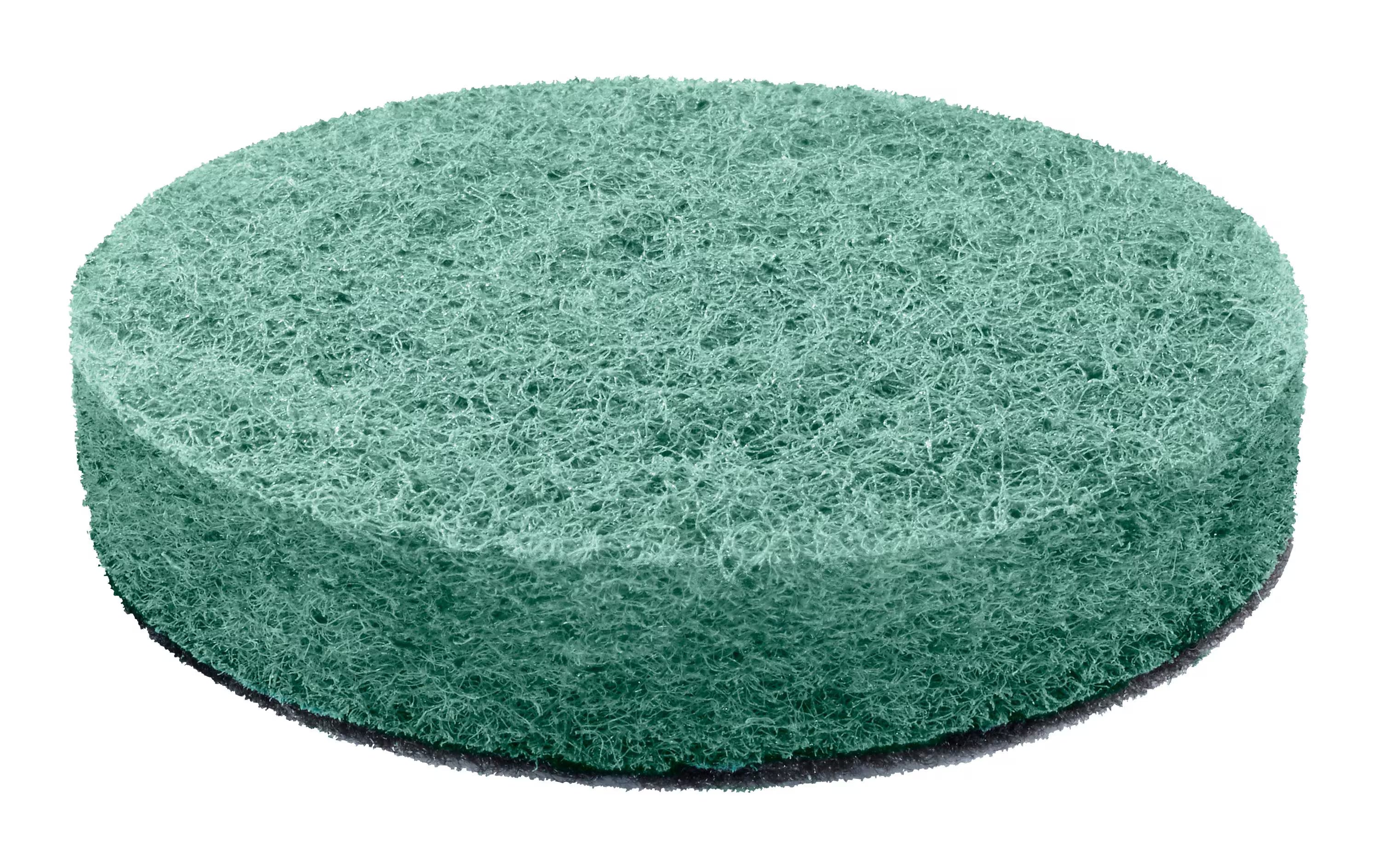 Bosch Kitchen scour pad