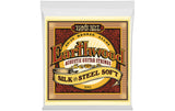 Ernie Ball 2045 Earthwood Bronze
