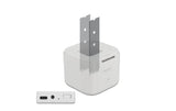 Delock NVME M.2 Dockingstation, USB-C