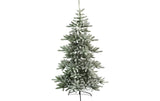 Star Trading Weihnachtsbaum 2.1m Arvika