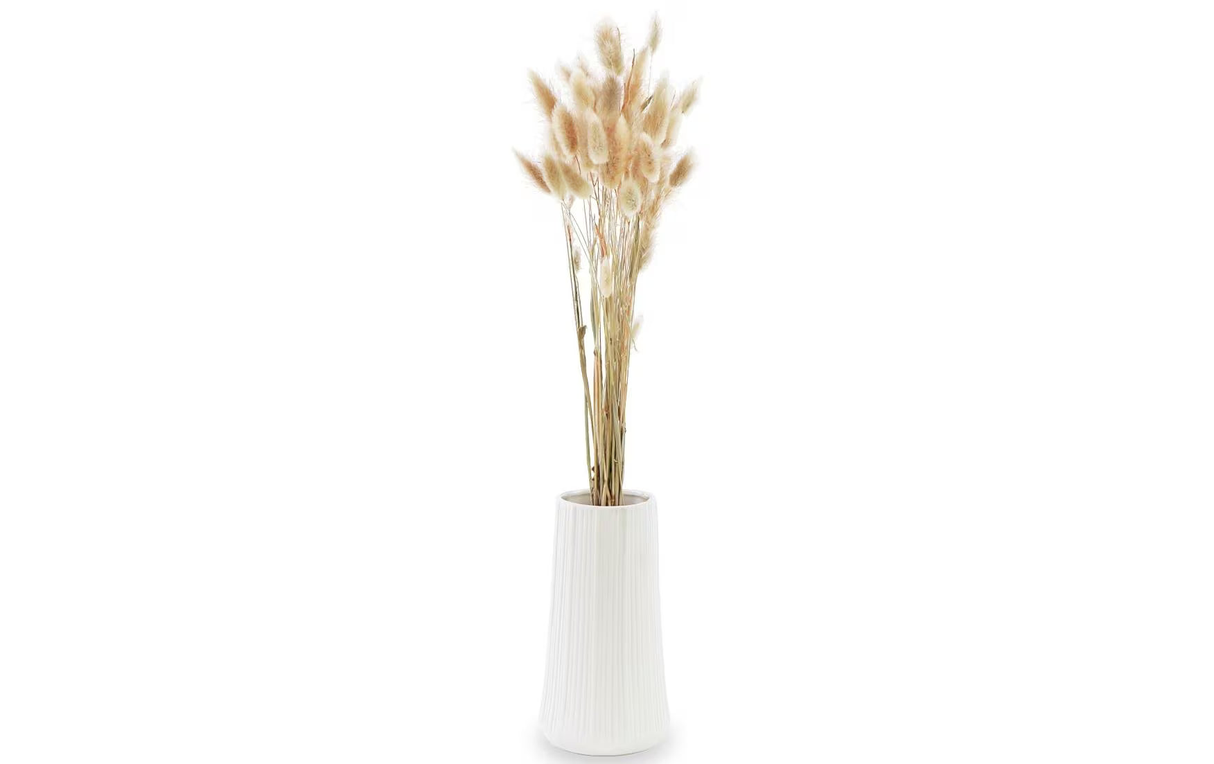 Soli Collection Lagurus natur