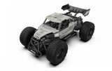 Amewi Buggy CoolRC DIY Stone 2WD