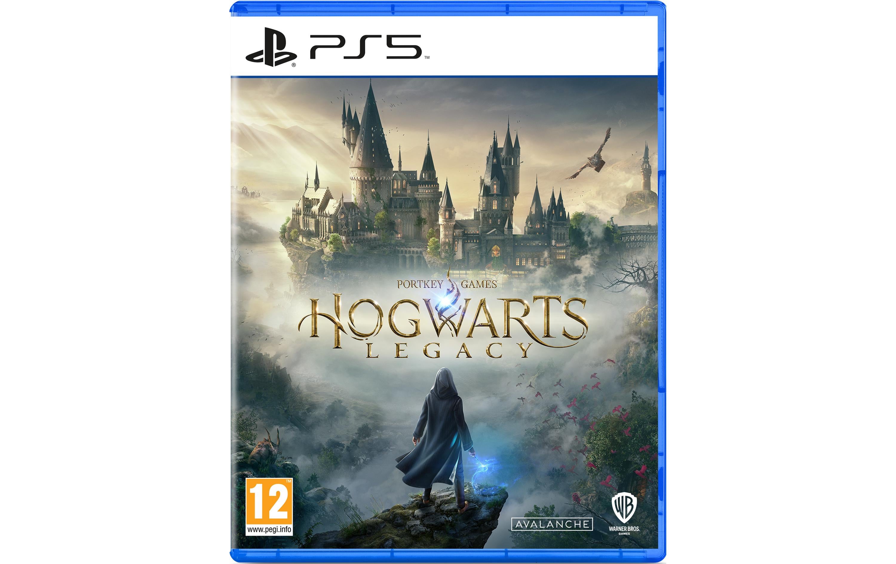 Hogwarts Legacy, PS5
