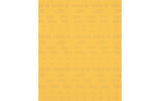 Bosch Professional Schleifpapier EXPERT