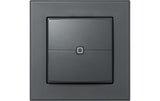 Homematic IP Wired Wandtaster 2-fach