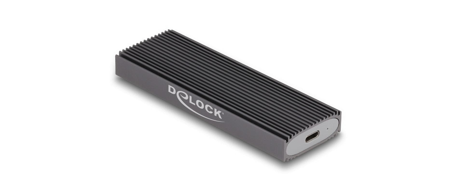 Delock Externes USB Type-C Combo Gehäuse