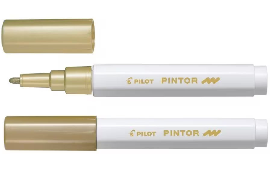 Pilot Pintor Fein