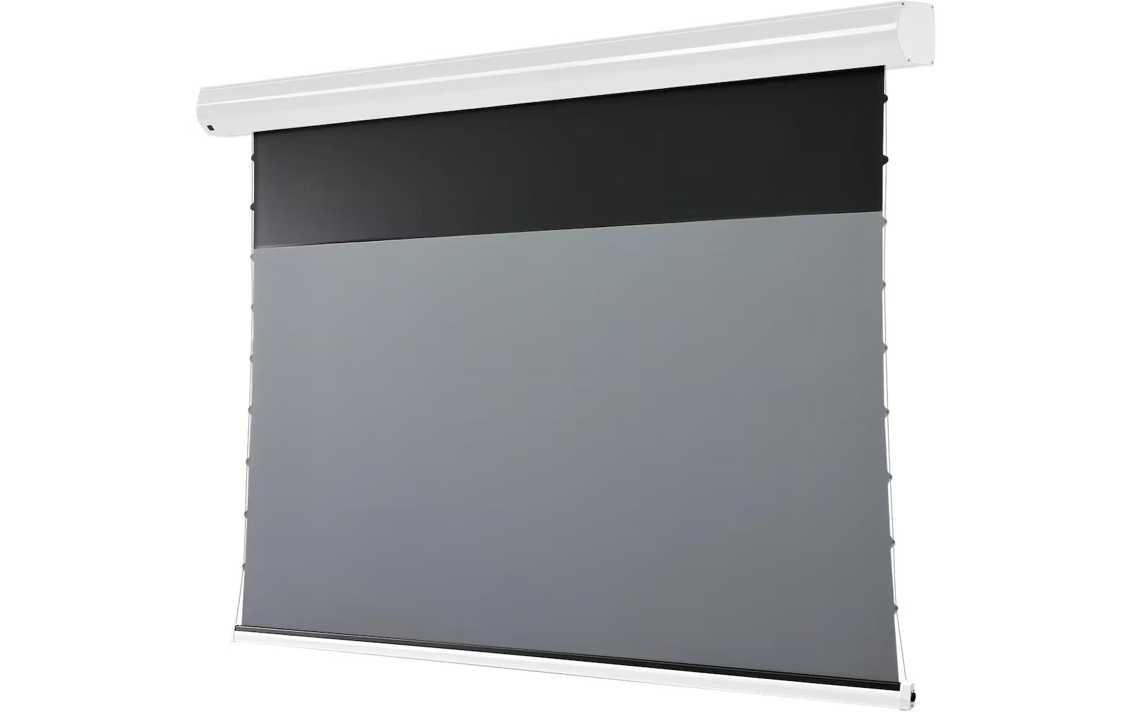 Celexon Motorleinwand HomeCinema Plus
