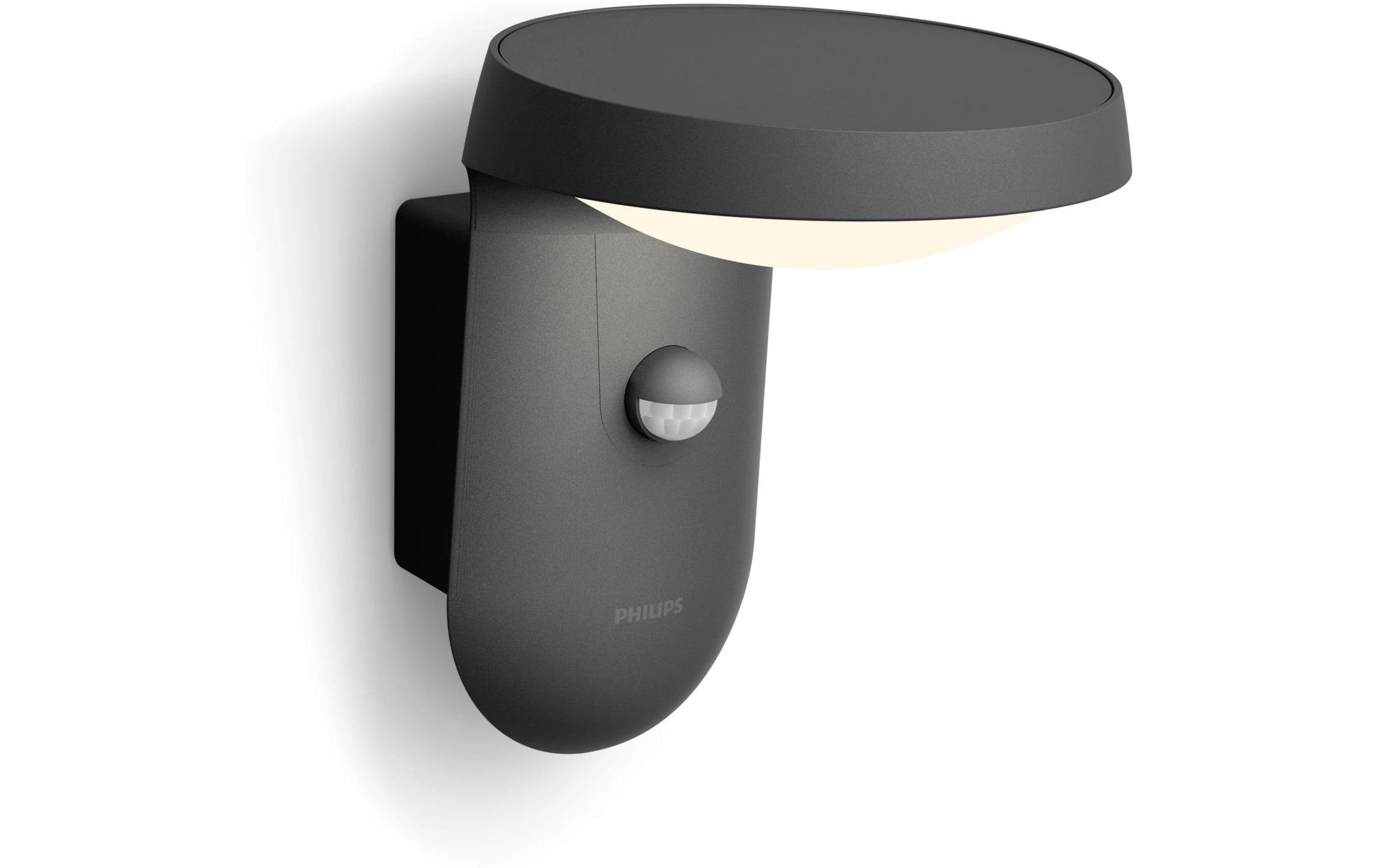 Philips Tyla Wandl anthr.