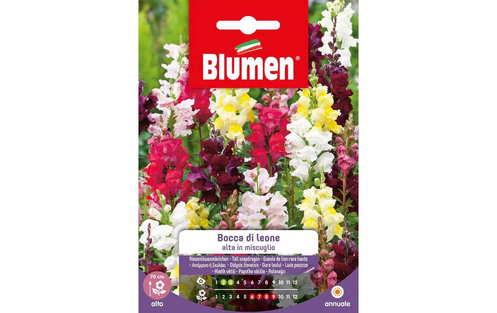 SAMEN MAUSER Riesenlöwenmäulchen Mix