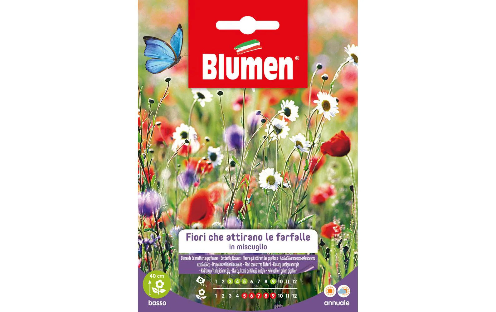 SAMEN MAUSER Blühende