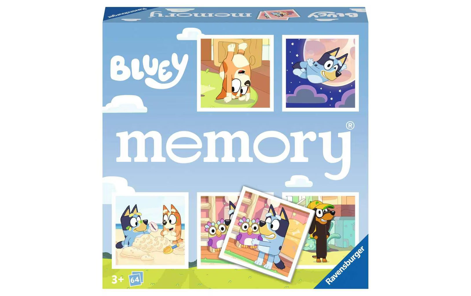memory Bluey
