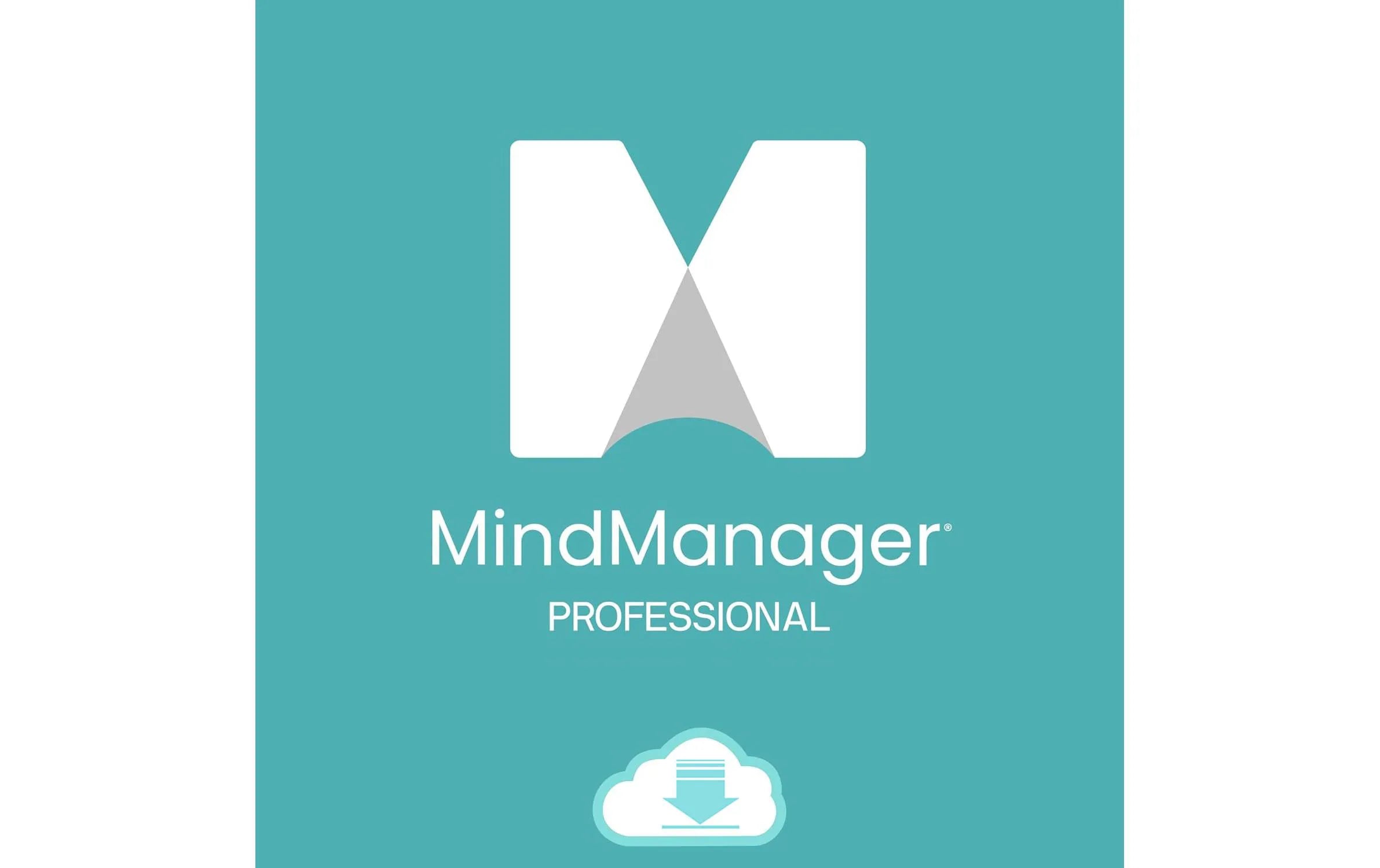 MindManager 2025 for Windows