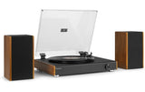 Audizio RP335