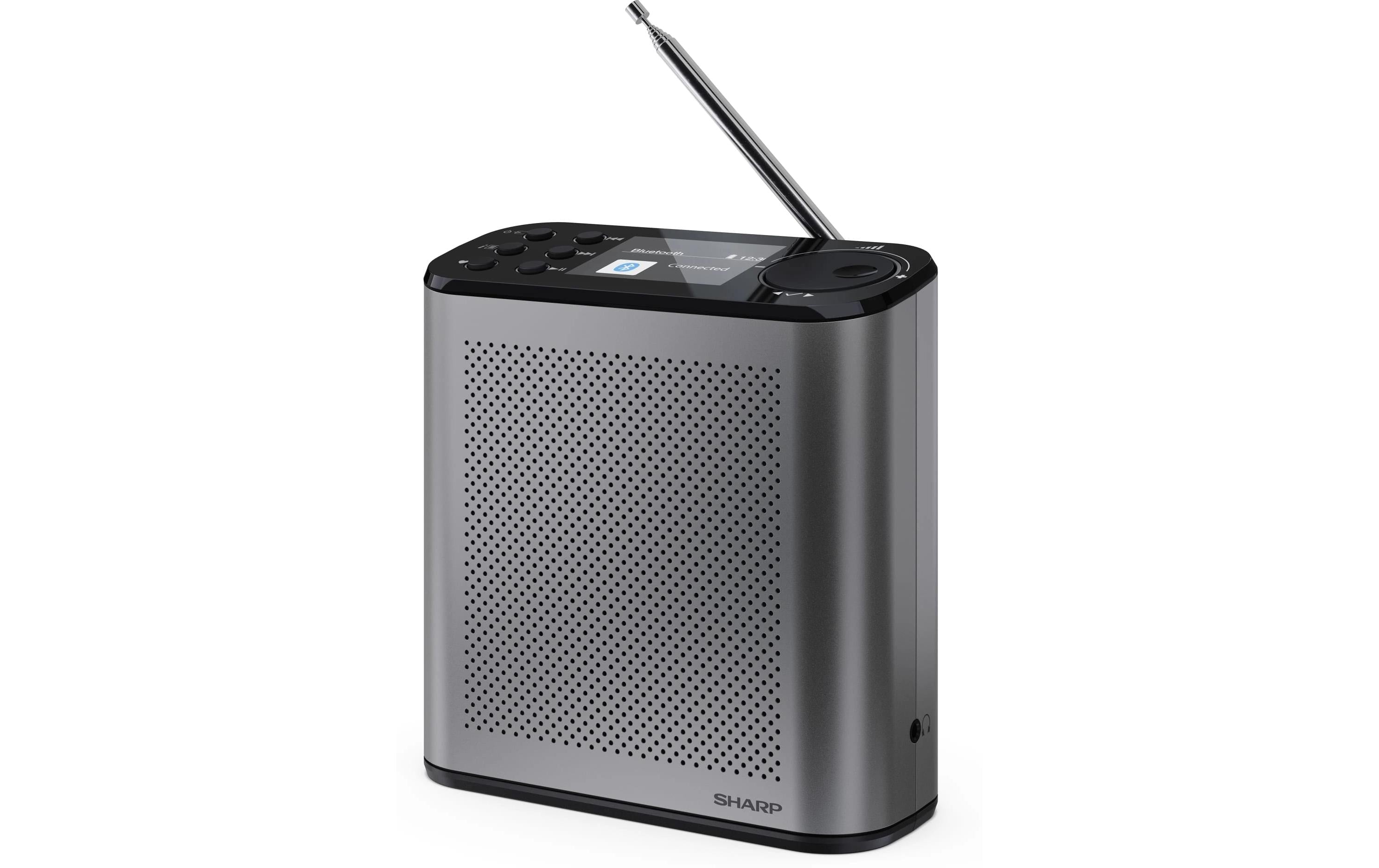 Sharp Digitalradio DR-P530 GR
