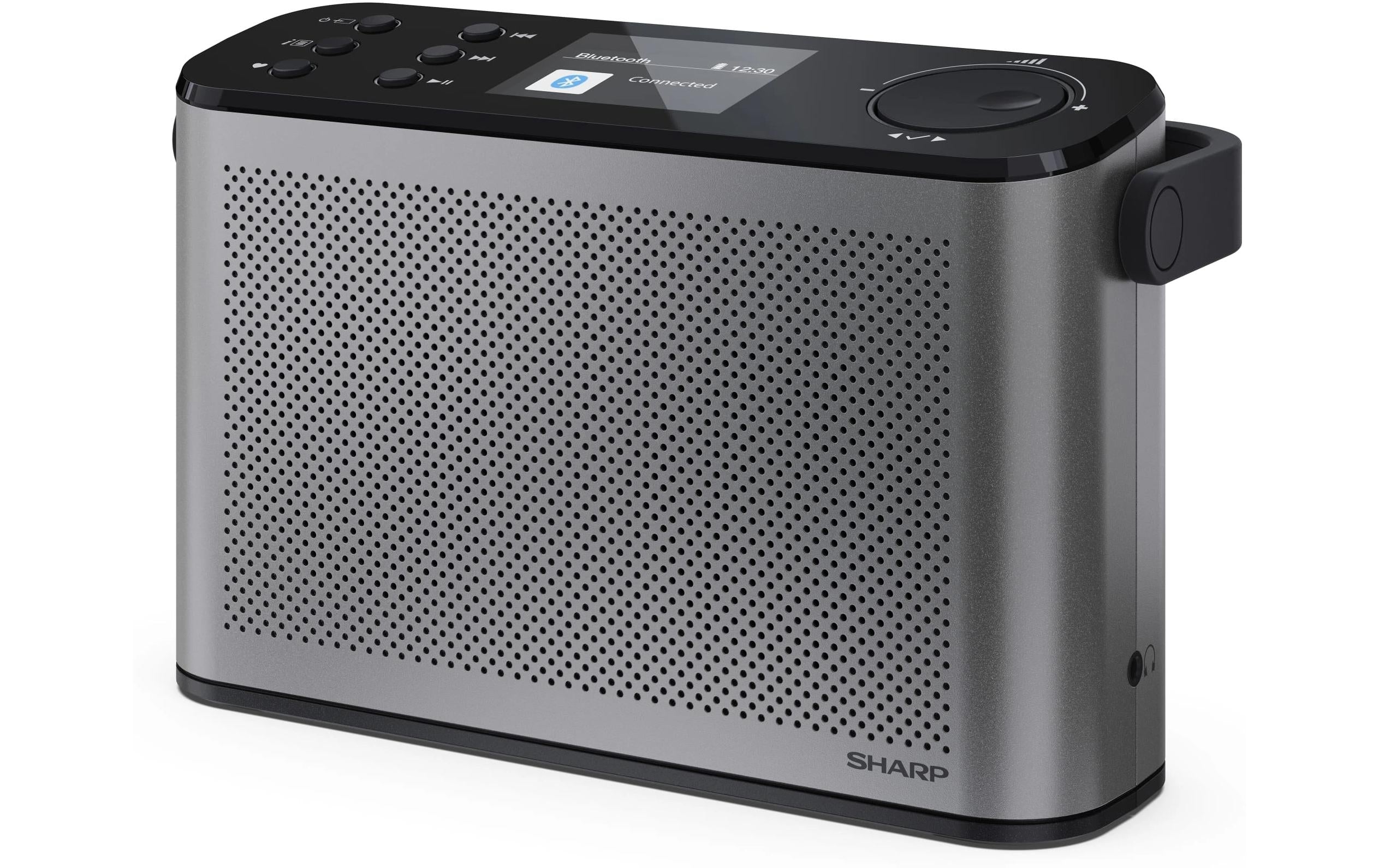 Sharp Digitalradio DR-P540 GR
