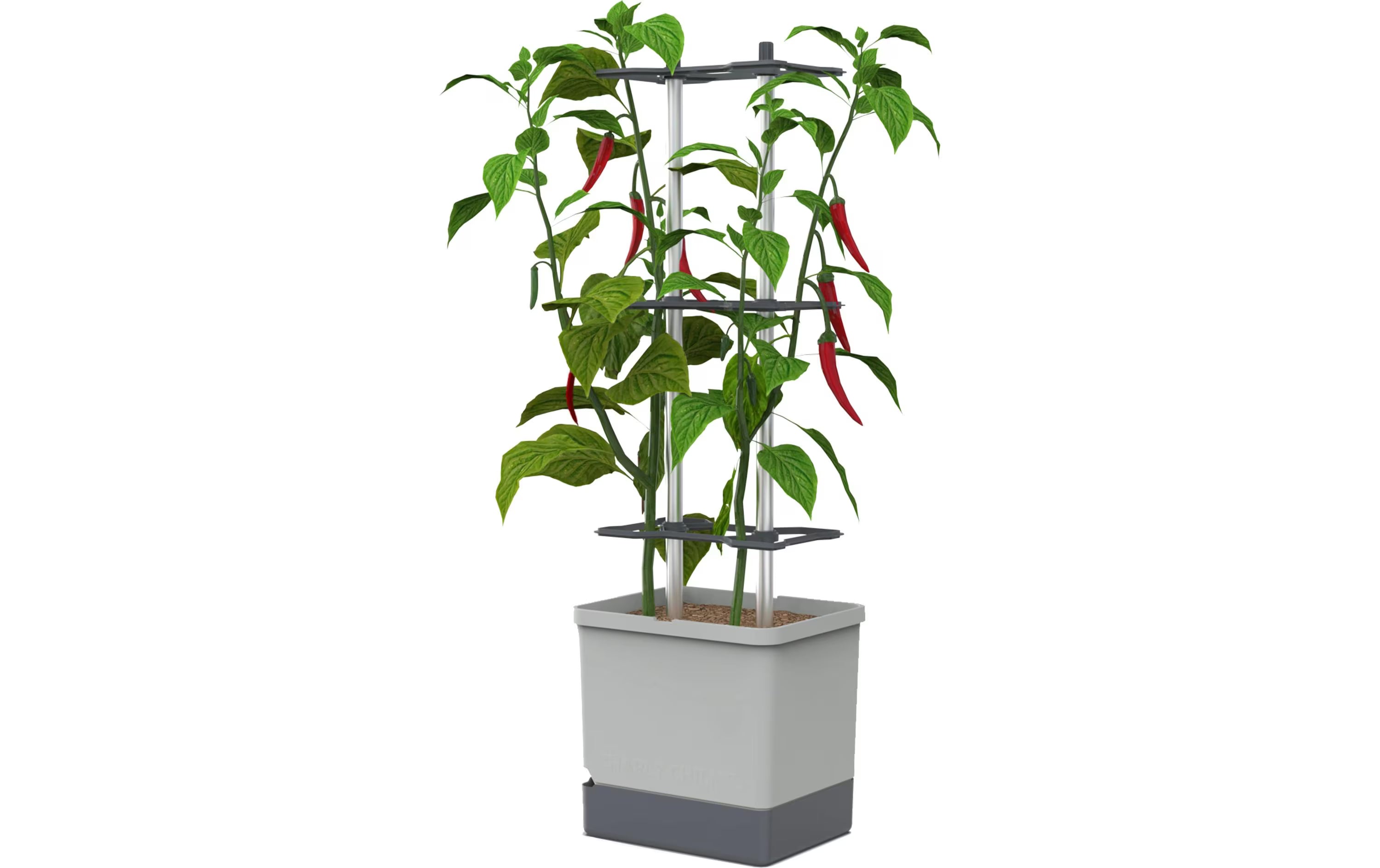 Gusta Garden Aufzuchttöpfe Charly Chili XL