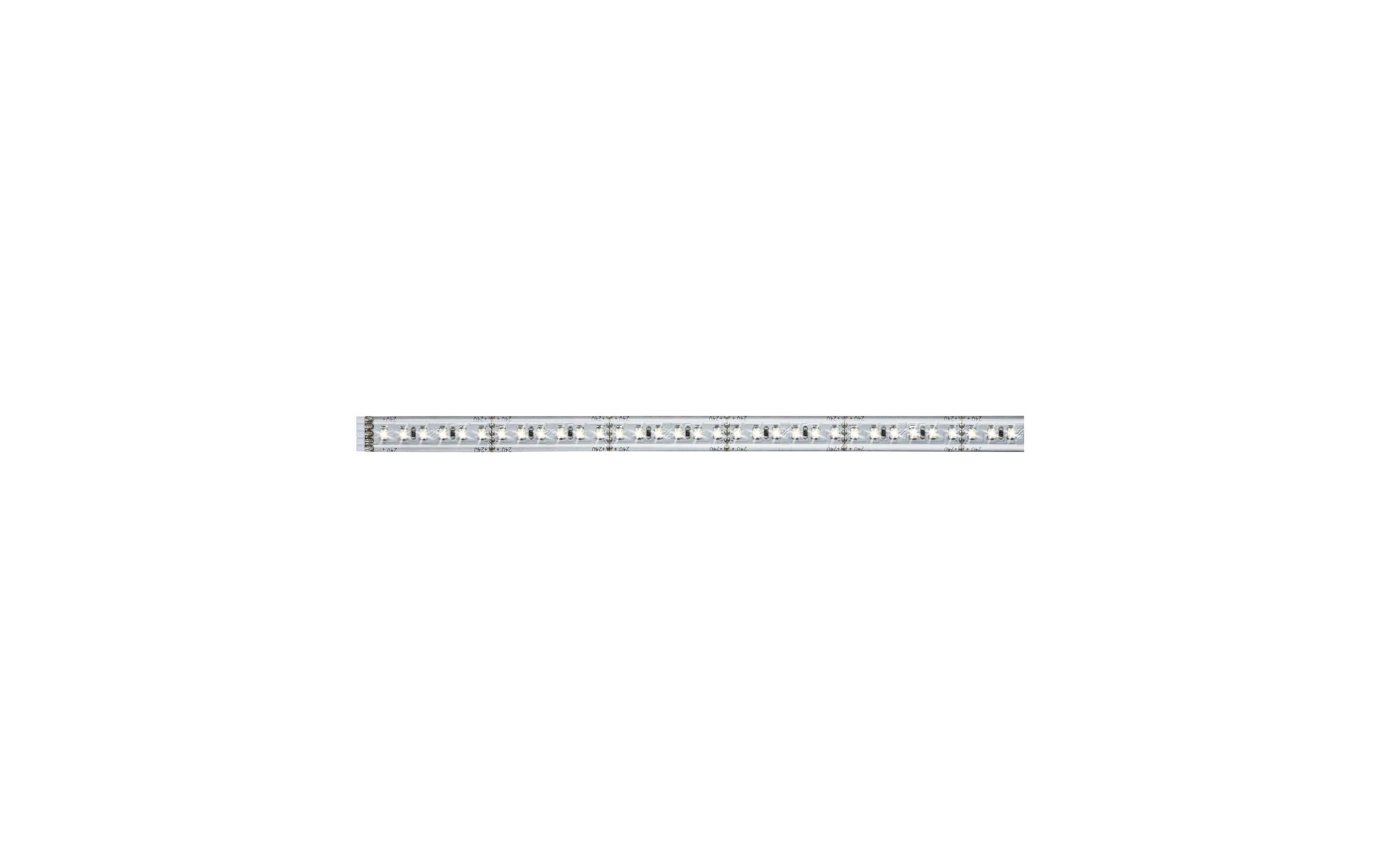 Paulmann LED Stripes MaxLED 1000 1m Ext