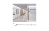 Paulmann LED Stripes Gold ProLED 5m 6500K