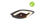 Paulmann Outdoor Wandleuchte Akena anth.