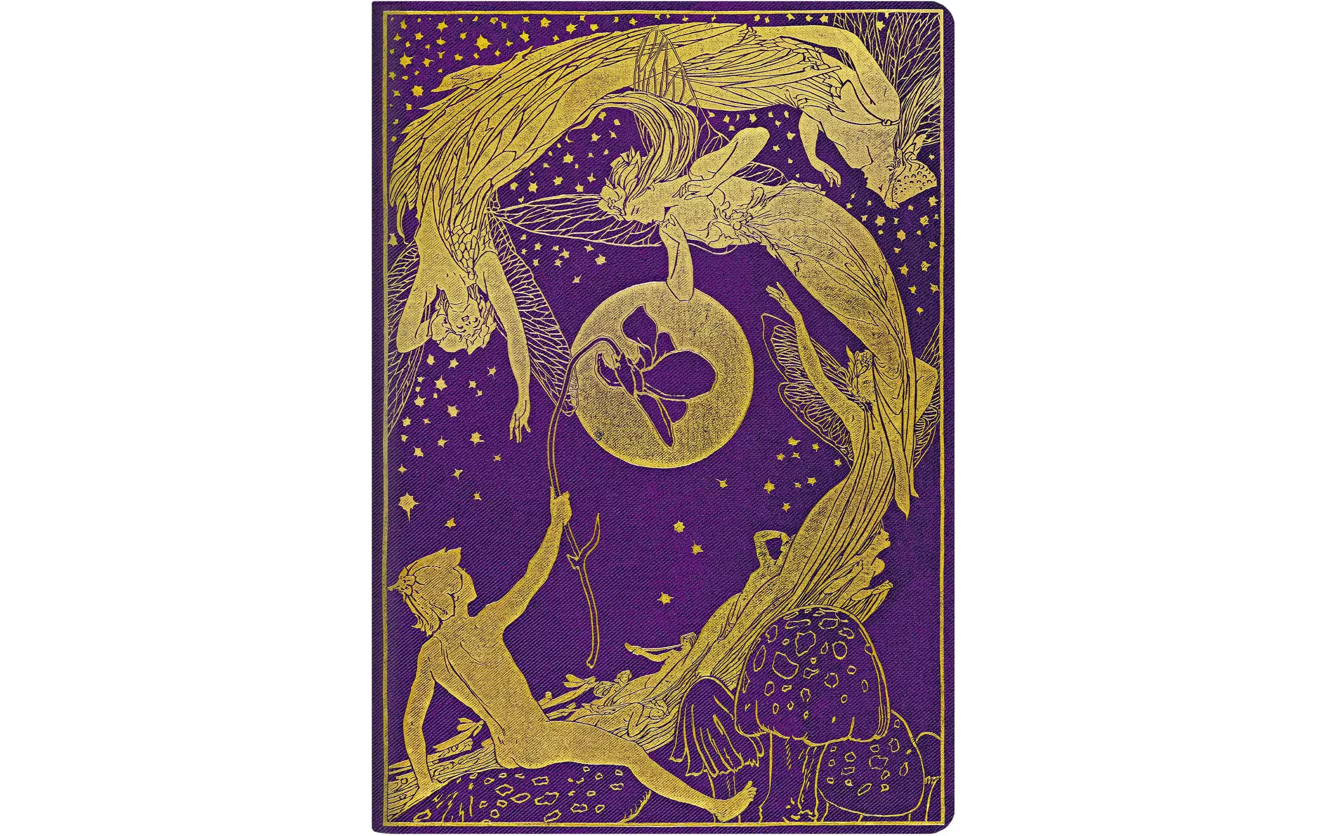 Paperblanks Notizheft Lang's Fairy Books A4