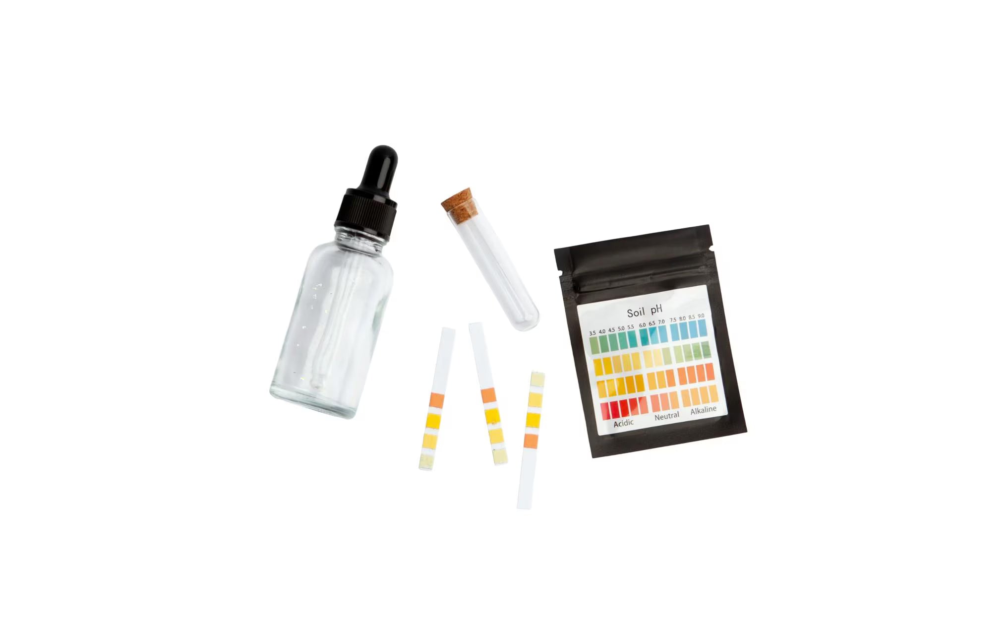 Fyta Beam PH