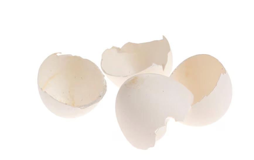 Opiflor Hühnereierschalen 200 g