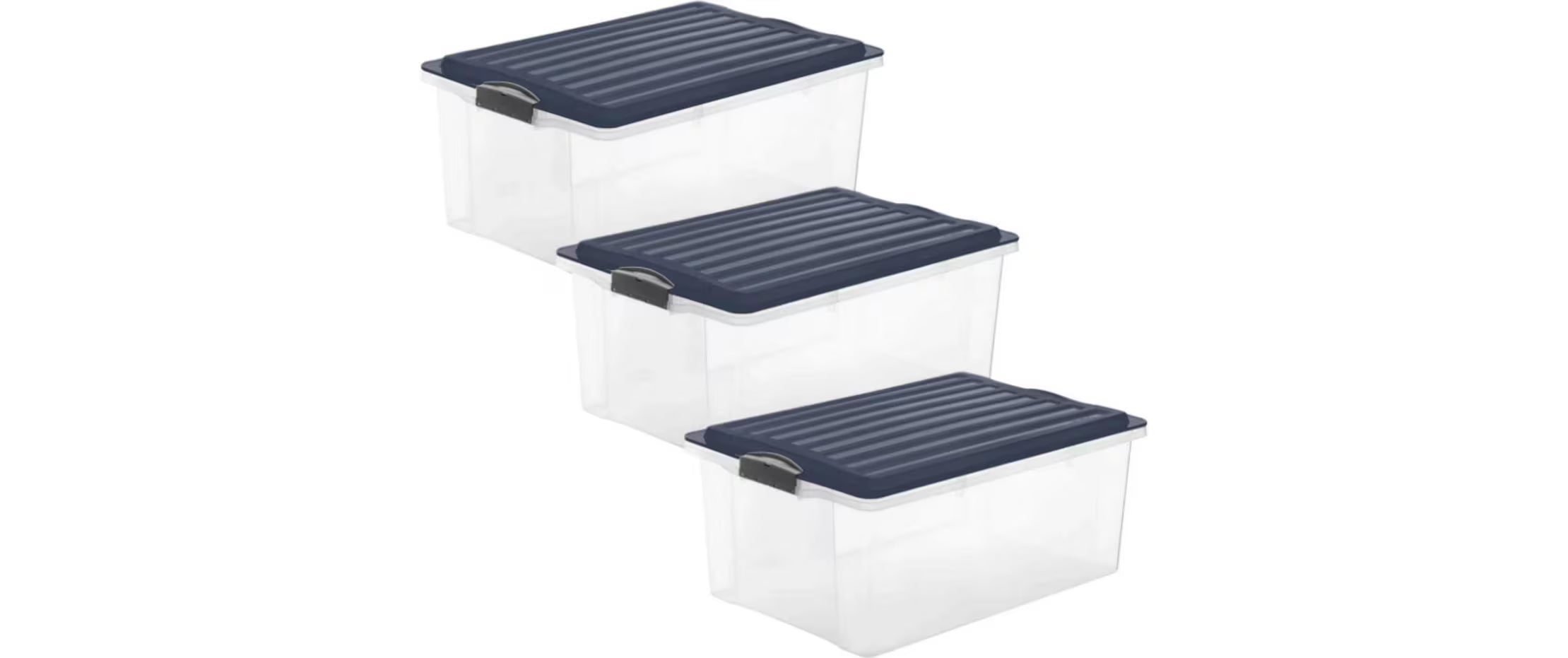 Rotho Aufbewahrungsbox COMPACT,