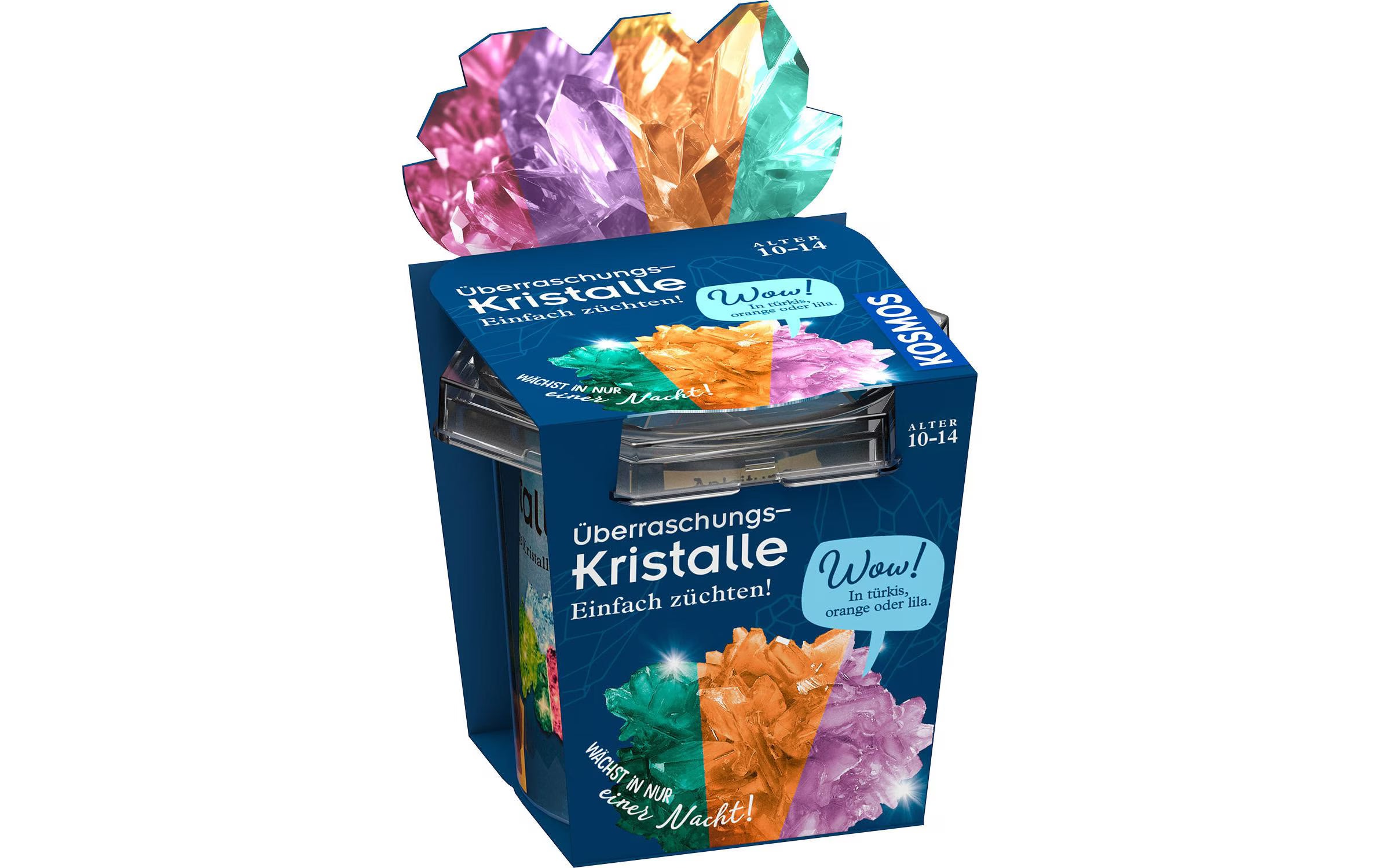 Überraschungs-Kristalle selbst züchten