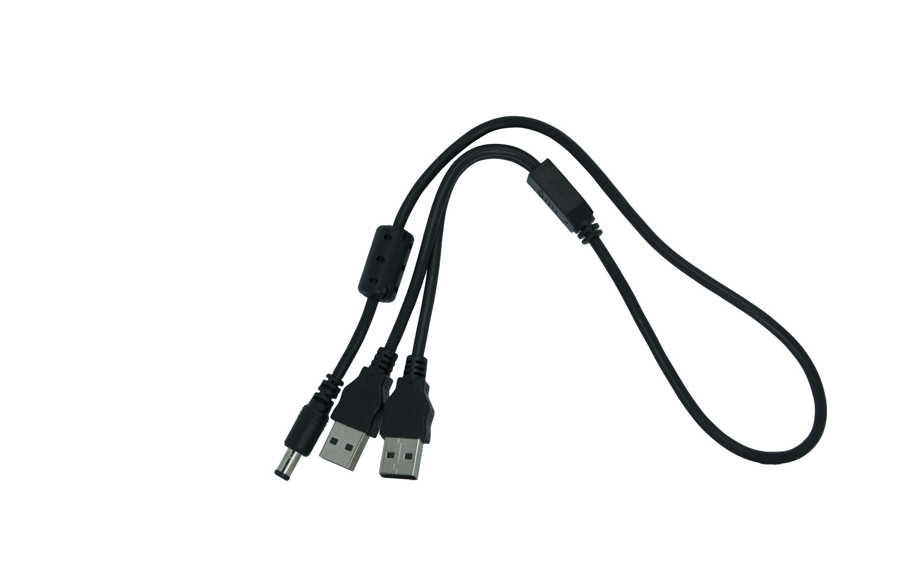 Silex USB2 Y-Kabel 2xA-Rundstecker