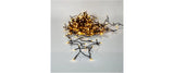 Star Trading LED Lichterkette Golden 25.2m