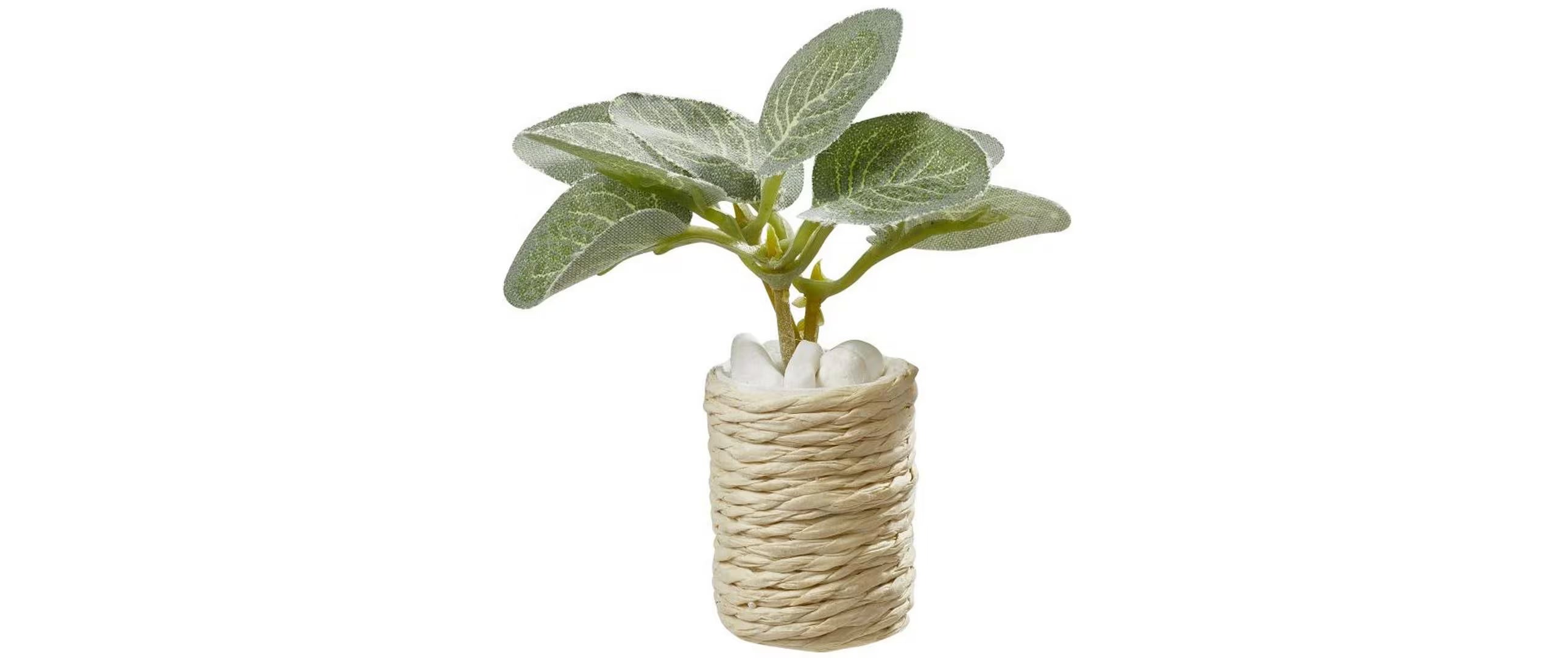 Hobbyfun Mini-Figur Zimmerpflanze