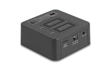 Delock M.2 Dockingstation für 2x M.2 NVMe