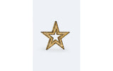 STT LED 3D Star 100