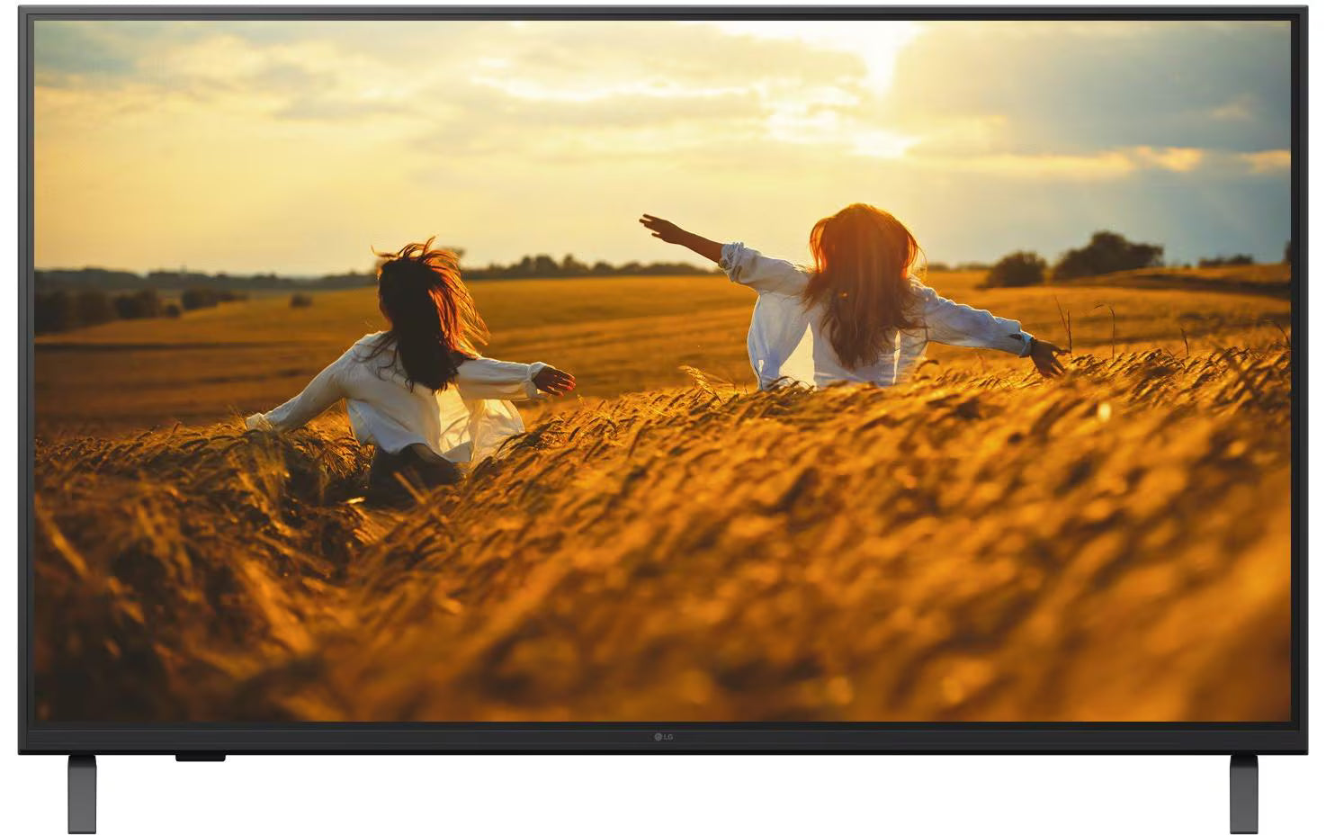 LG, Hotel-TV 43UK660H 43