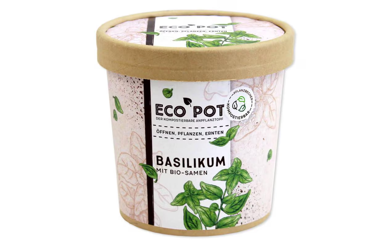 Basilikum BIO