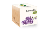 Lavendel BIO