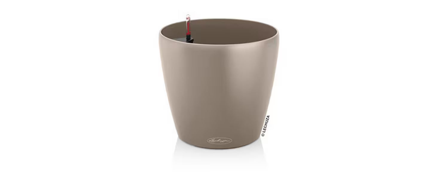 CLASSICO Color 43