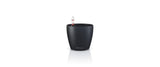 CLASSICO Color 12