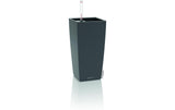 MAXI-CUBI