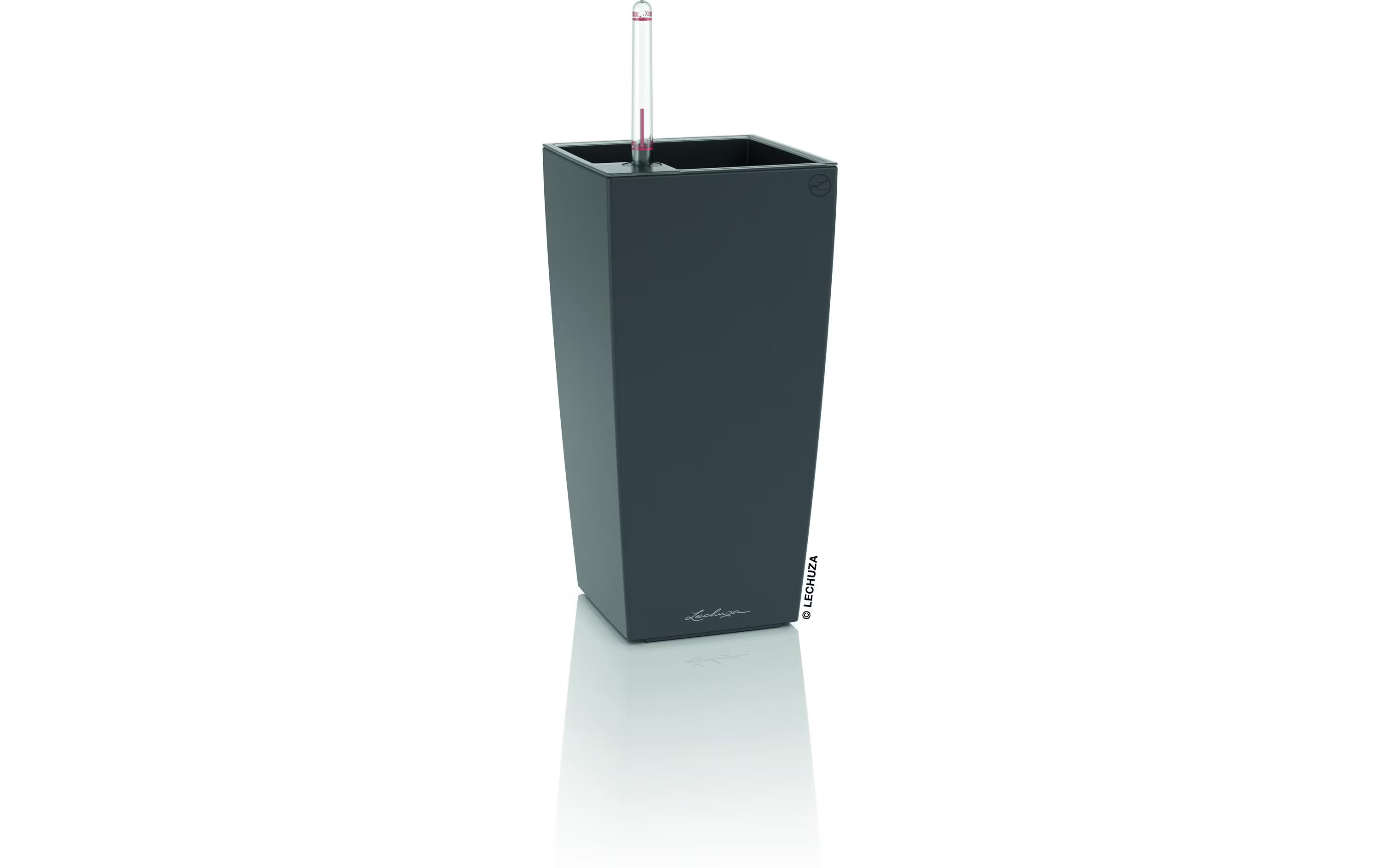 MAXI-CUBI