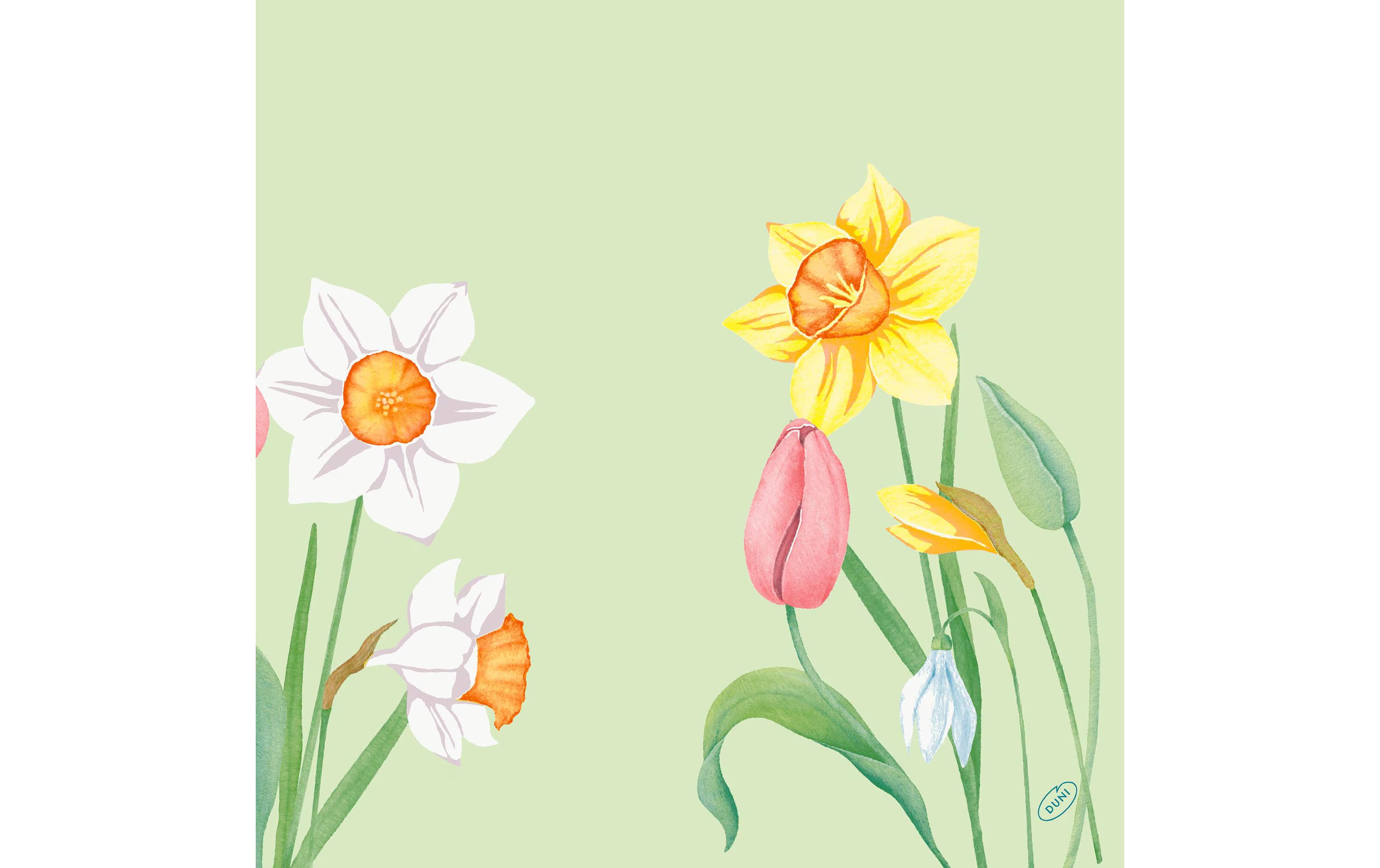 Duni Servietten 4-lagig Spring Melody